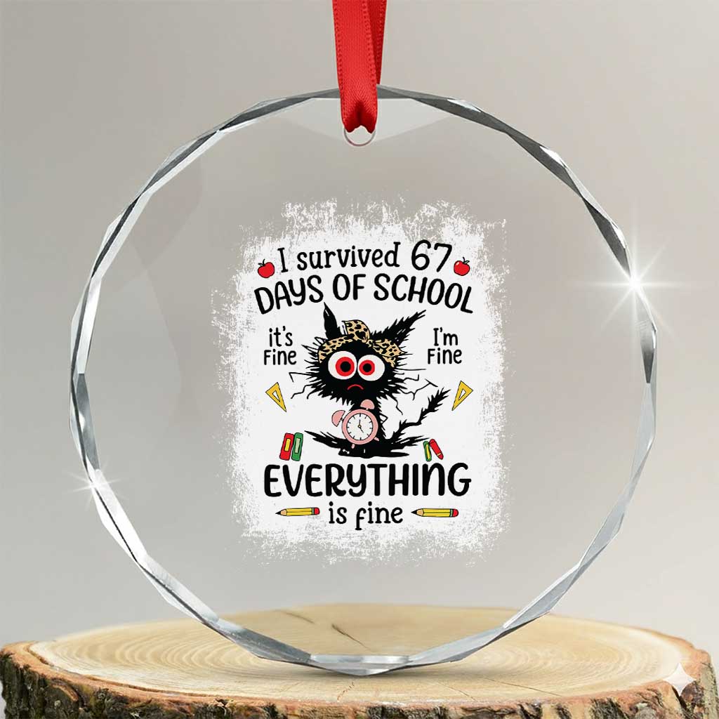 I Survived 67 Days of School Crystal Glass Ornament Funny Teacher Black Cat Chaos Everything Is Fine TS02 Transparent Glass 3'' Circle Print Your Wear