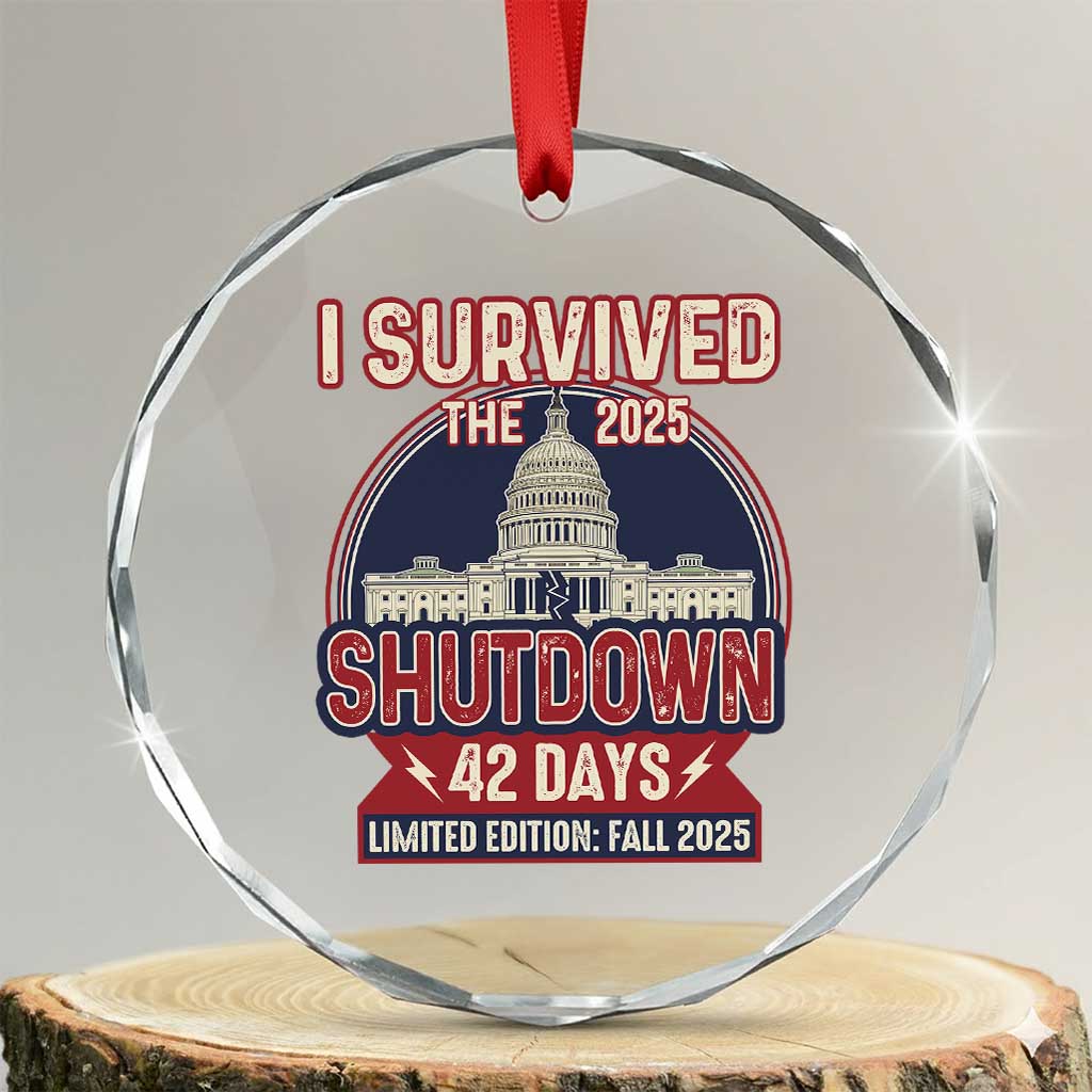 I Survived the 2025 Shutdown Crystal Glass Ornament Funny Government Closure Parody Political Humor TS02 Transparent Glass 3'' Circle Print Your Wear