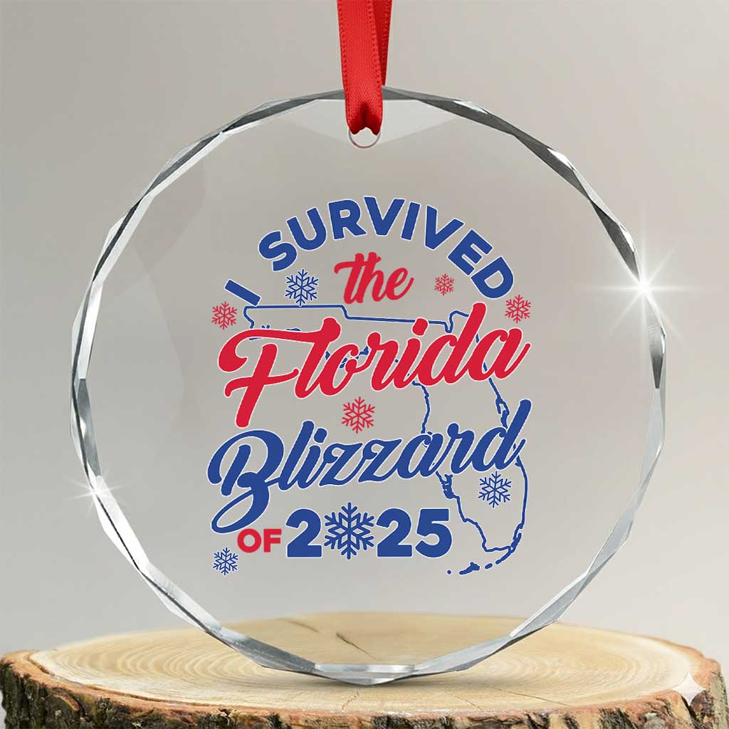 I Survived The Florida Blizzard Of 2025 Crystal Glass Ornament TS02 Transparent Glass 3'' Circle Print Your Wear