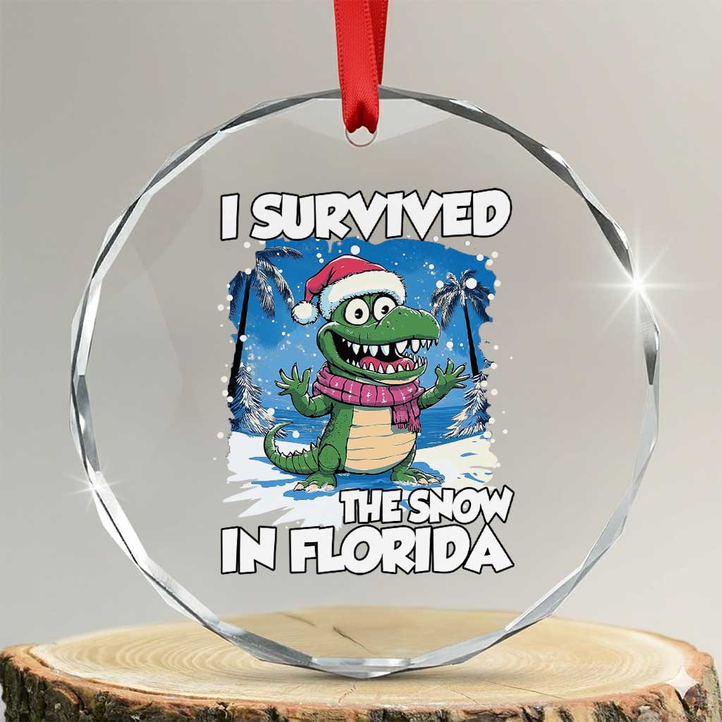 I Survived The Snow In Florida Crystal Glass Ornament Funny Crocodile TS02 Transparent Glass 3'' Circle Print Your Wear