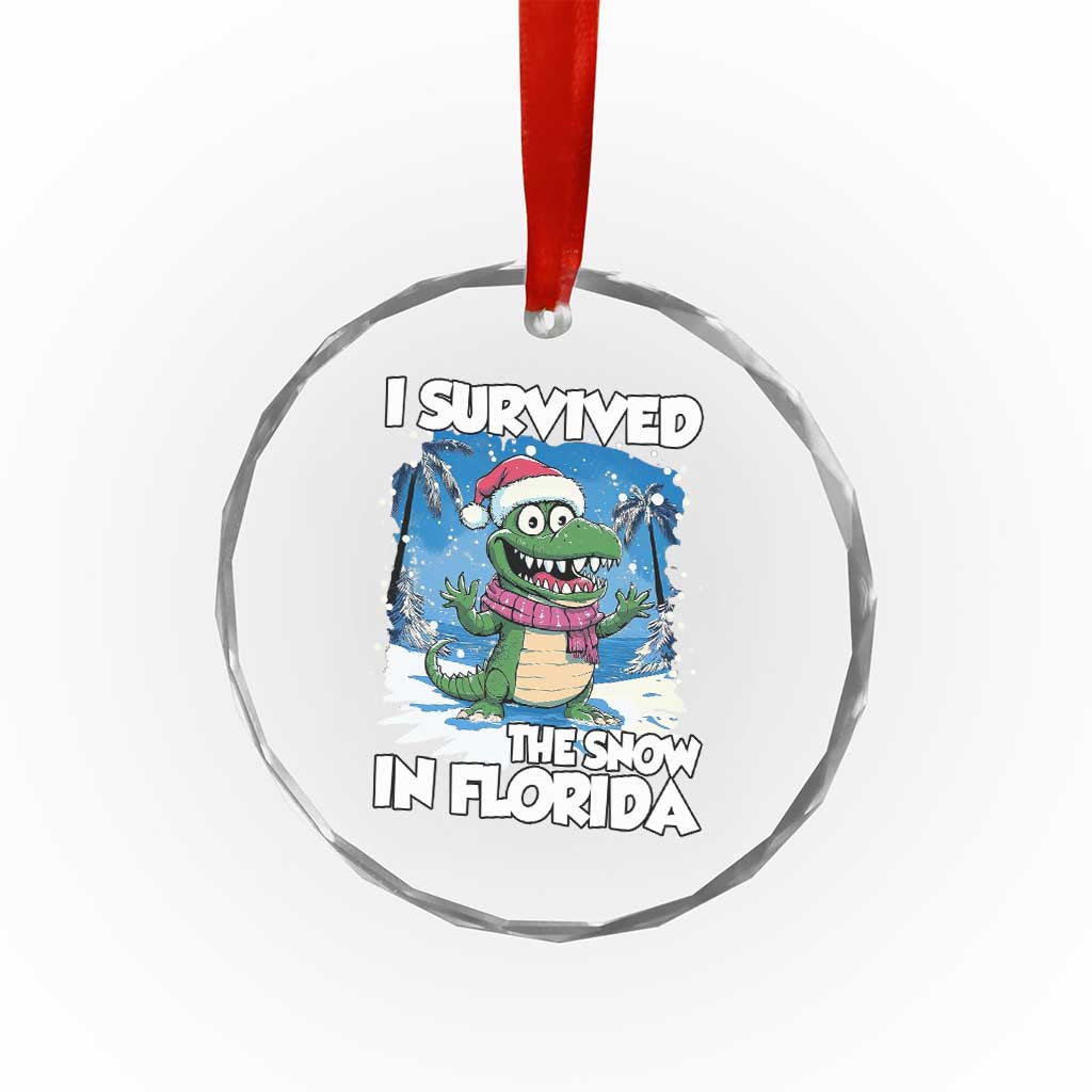 I Survived The Snow In Florida Crystal Glass Ornament Funny Crocodile TS02 Print Your Wear