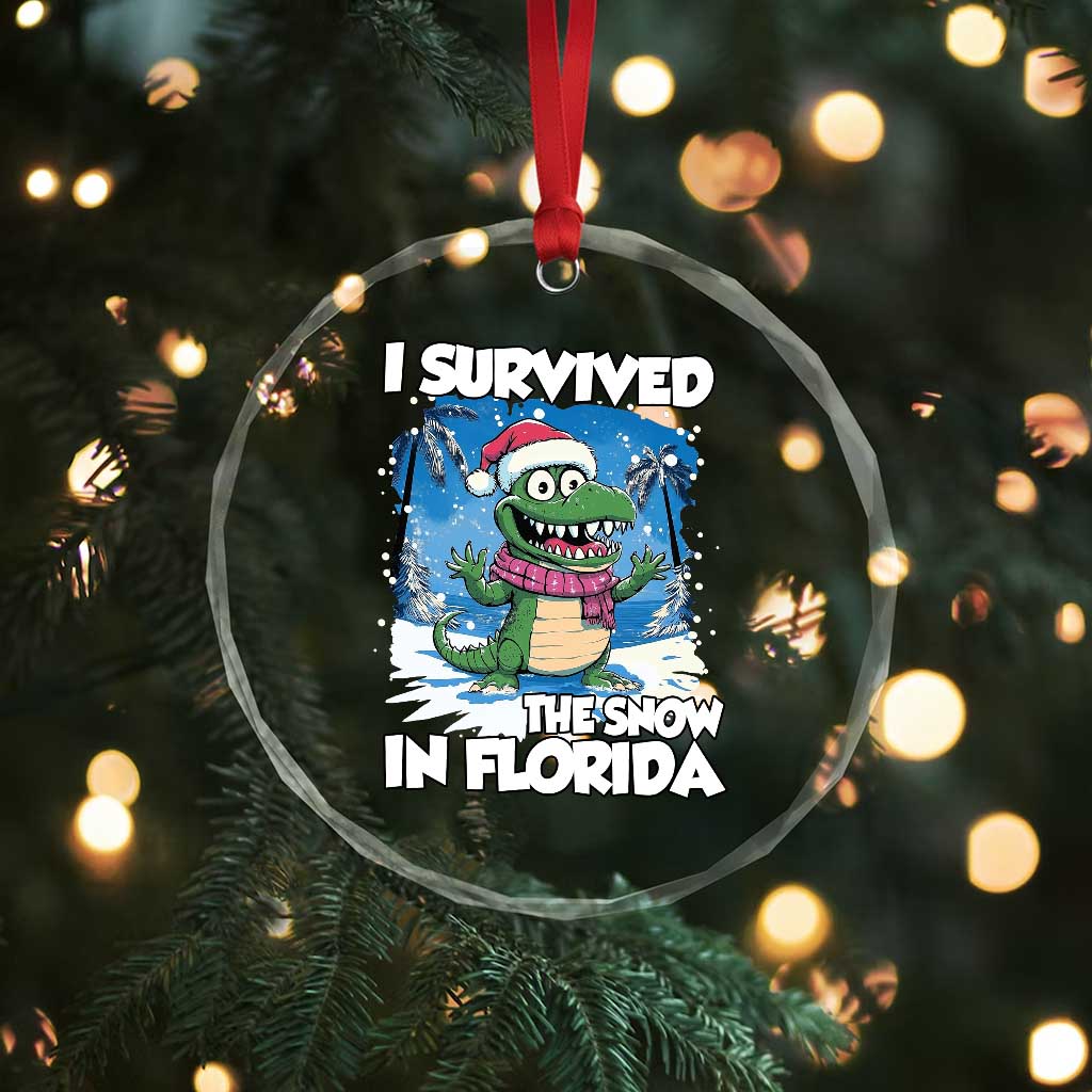 I Survived The Snow In Florida Crystal Glass Ornament Funny Crocodile TS02 Print Your Wear