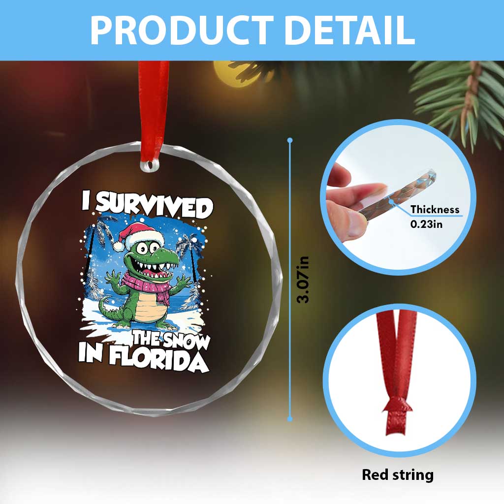 I Survived The Snow In Florida Crystal Glass Ornament Funny Crocodile TS02 Print Your Wear