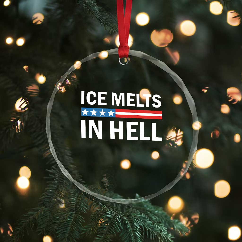 Ice Melts In Hell Crystal Glass Ornament Activist Statement Quote TS14 Print Your Wear