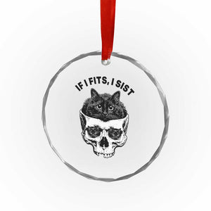 If I Fits I Sits Black Cat Skull Crystal Glass Ornament Gothic Dark Humor Gift TS12 Print Your Wear