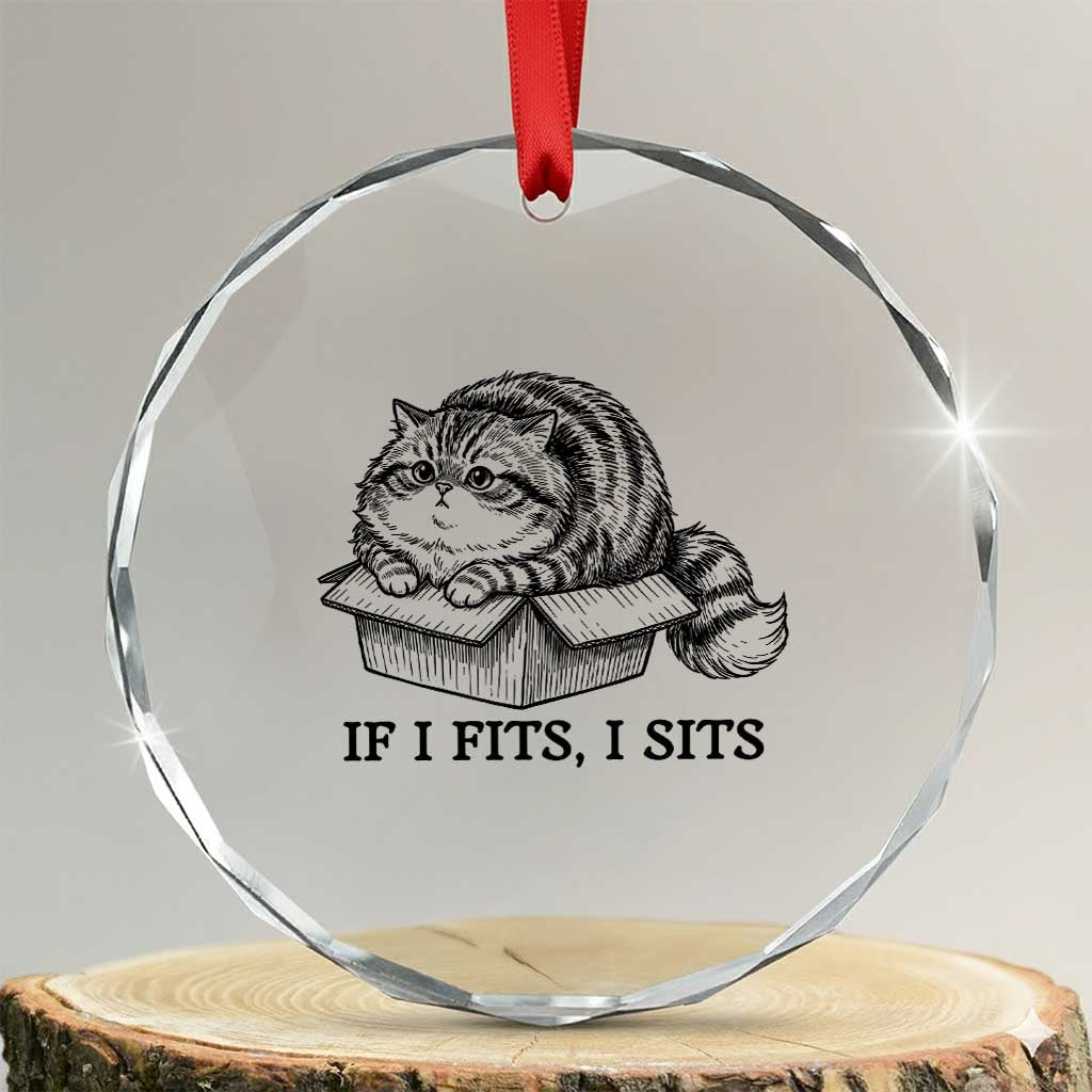 If I Fits I Sits Crystal Glass Ornament Chubby Kitty Funny Cat Lover Gift TS12 Transparent Glass 3'' Circle Print Your Wear