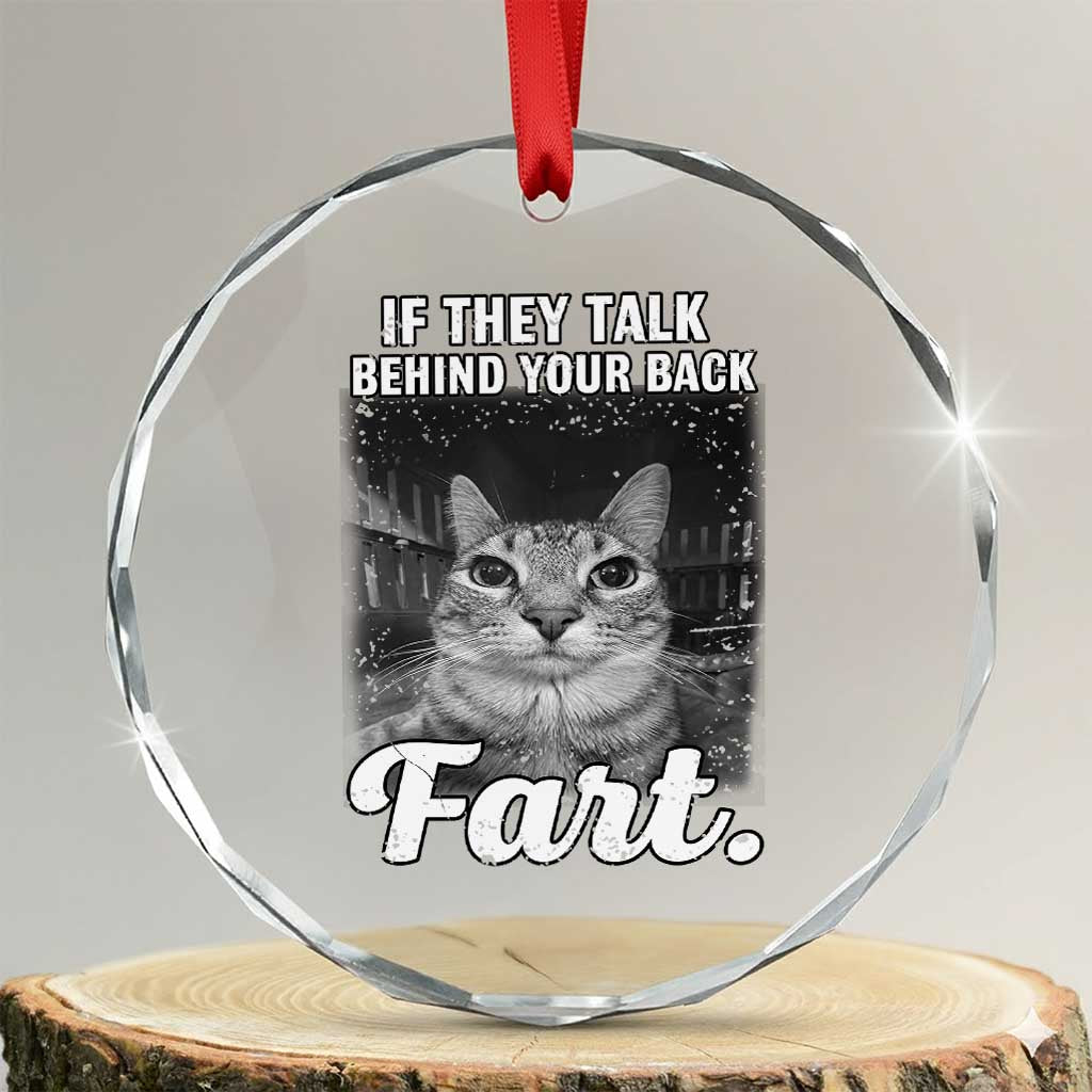 If They Talk Behind Your Back Fart Crystal Glass Ornament Cat Meme Funny Oddly Specific TS10 Transparent Glass 3'' Circle Print Your Wear