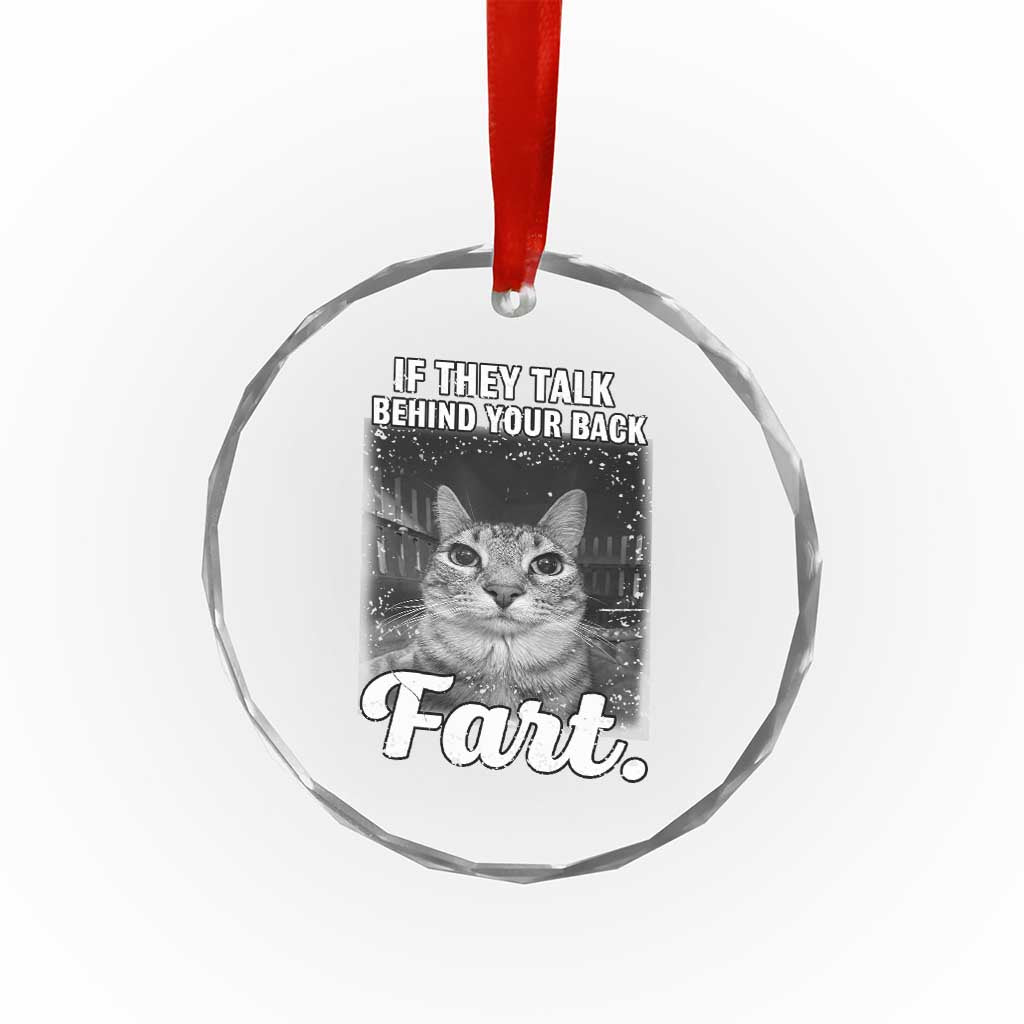 If They Talk Behind Your Back Fart Crystal Glass Ornament Cat Meme Funny Oddly Specific TS10 Print Your Wear