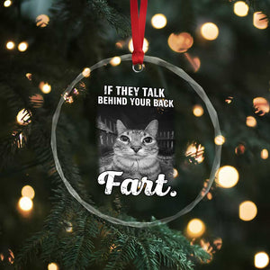 If They Talk Behind Your Back Fart Crystal Glass Ornament Cat Meme Funny Oddly Specific TS10 Print Your Wear