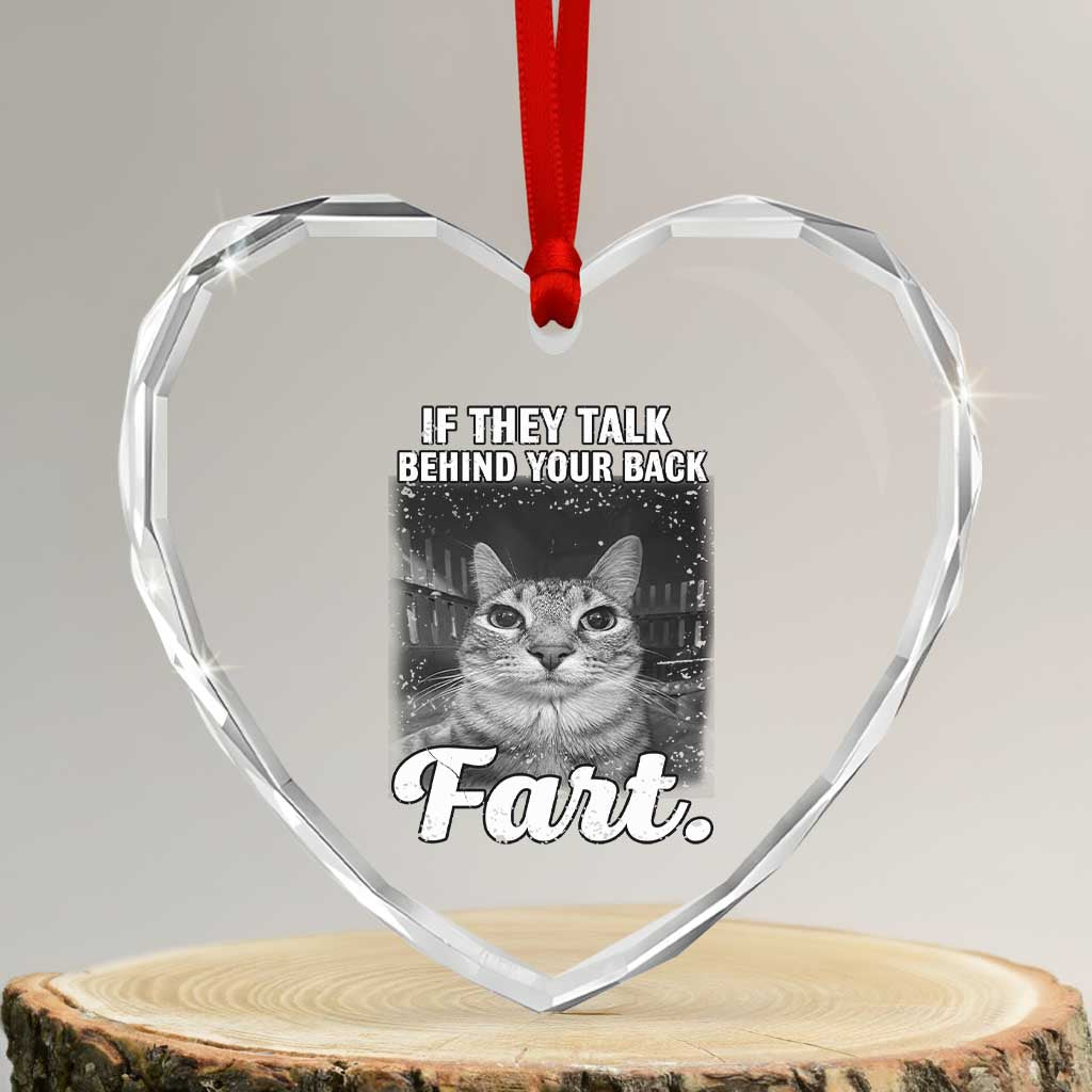 If They Talk Behind Your Back Fart Heart Crystal Glass Ornament Cat Meme Funny Oddly Specific TS10 Transparent Glass 3'' Heart Print Your Wear