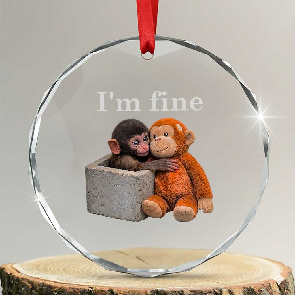 I’m Fine Viral Punch Monkey Meme Crystal Glass Ornament Cute Baby Monkey Hugging Plush Emotional Humor Gift TS02 Transparent Glass 3'' Circle Print Your Wear