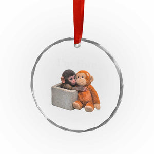 I’m Fine Viral Punch Monkey Meme Crystal Glass Ornament Cute Baby Monkey Hugging Plush Emotional Humor Gift TS02 Print Your Wear