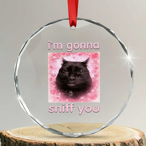 I'm Gonna Sniff You Crystal Glass Ornament Funny Black Cat Brainrot Meme TS14 Transparent Glass 3'' Circle Print Your Wear