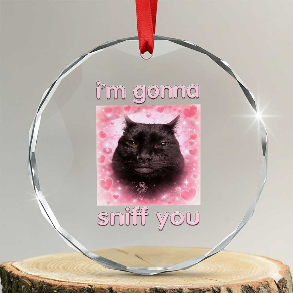 I'm Gonna Sniff You Crystal Glass Ornament Funny Black Cat Brainrot Meme TS14 Transparent Glass 3'' Circle Print Your Wear