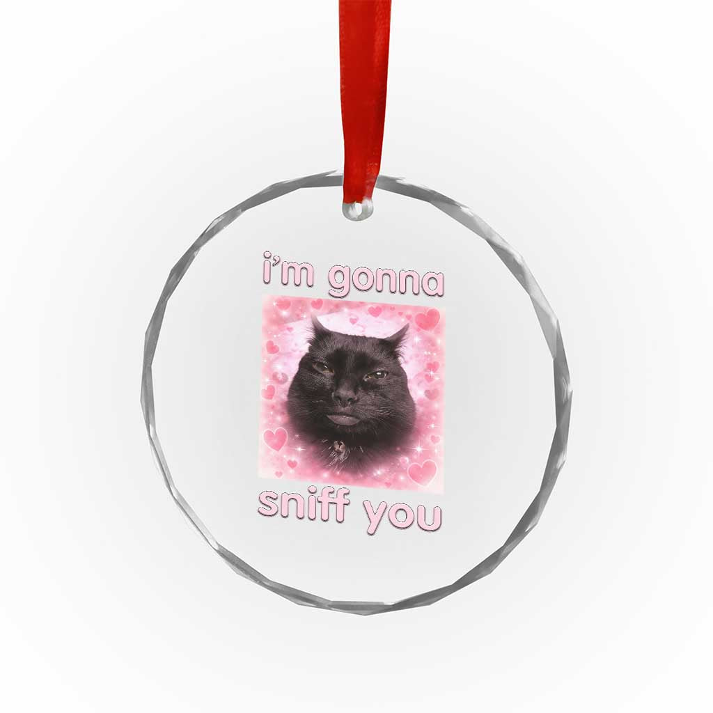 I'm Gonna Sniff You Crystal Glass Ornament Funny Black Cat Brainrot Meme TS14 Print Your Wear