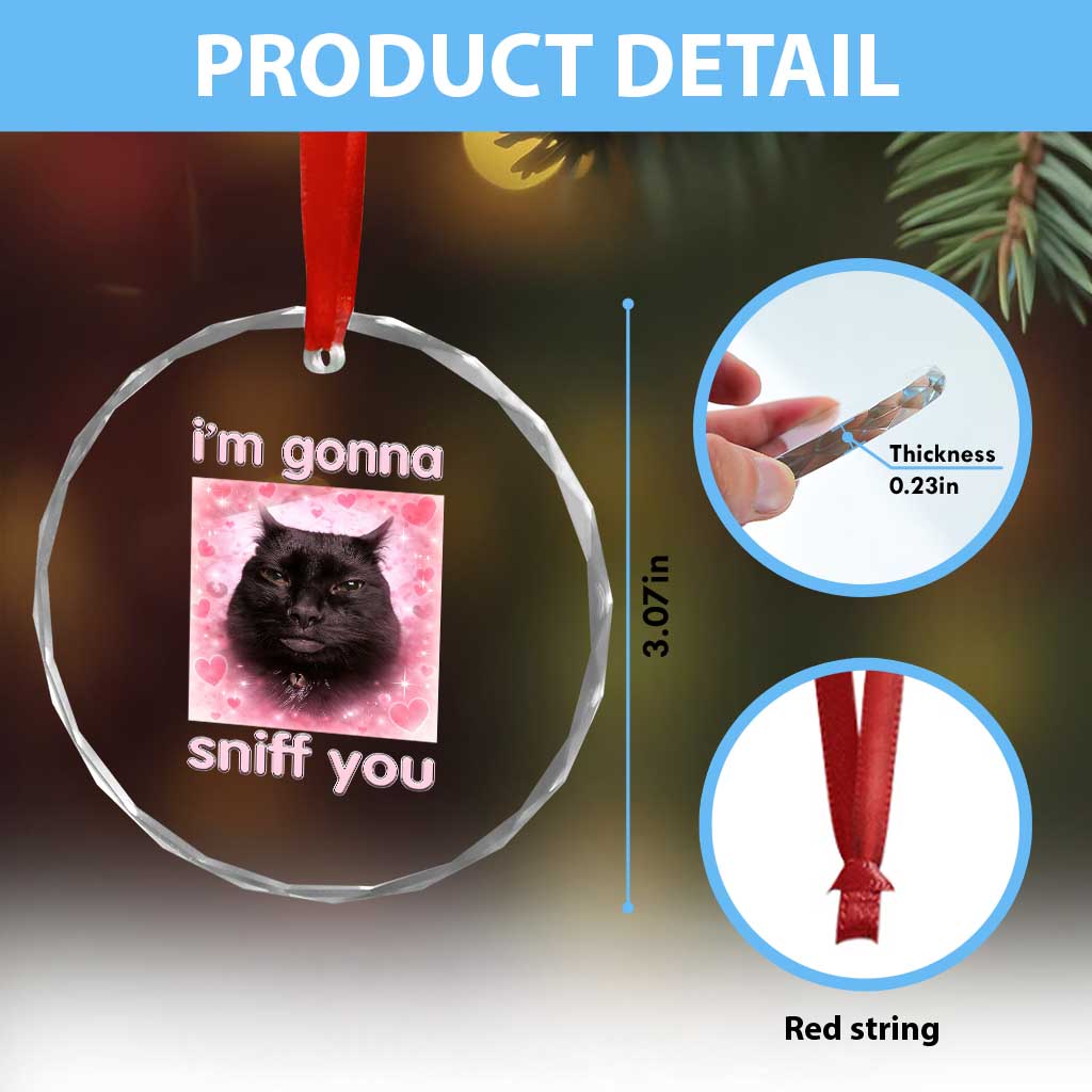 I'm Gonna Sniff You Crystal Glass Ornament Funny Black Cat Brainrot Meme TS14 Print Your Wear