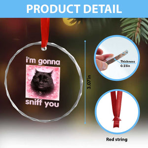 I'm Gonna Sniff You Crystal Glass Ornament Funny Black Cat Brainrot Meme TS14 Print Your Wear