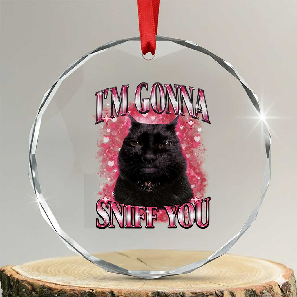 I'm Gonna Sniff You Crystal Glass Ornament Funny Black Cat Meme TS14 Transparent Glass 3'' Circle Print Your Wear