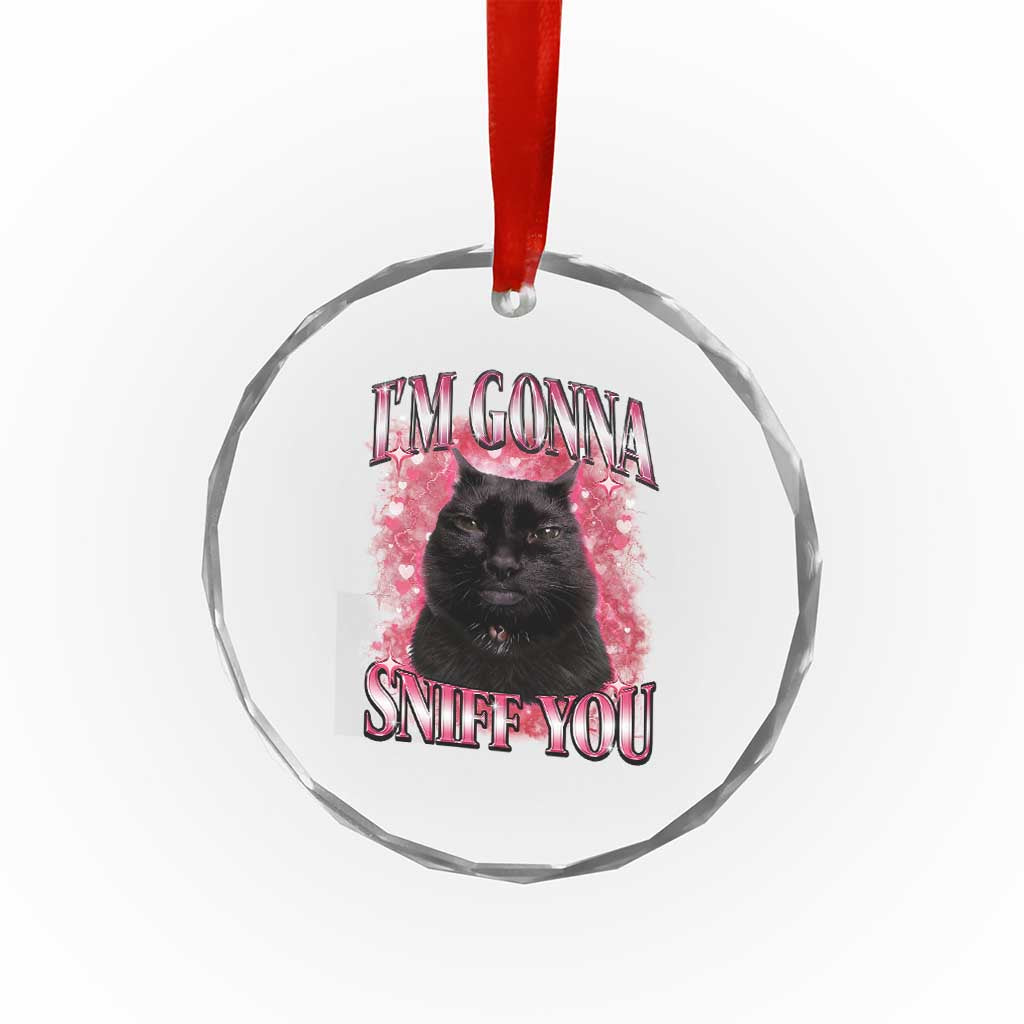I'm Gonna Sniff You Crystal Glass Ornament Funny Black Cat Meme TS14 Print Your Wear
