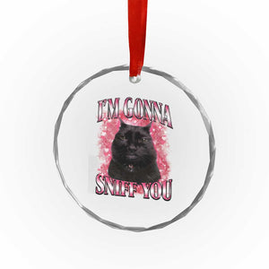 I'm Gonna Sniff You Crystal Glass Ornament Funny Black Cat Meme TS14 Print Your Wear