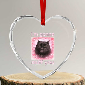 I'm Gonna Sniff You Heart Crystal Glass Ornament Funny Black Cat Brainrot Meme TS14 Transparent Glass 3'' Heart Print Your Wear