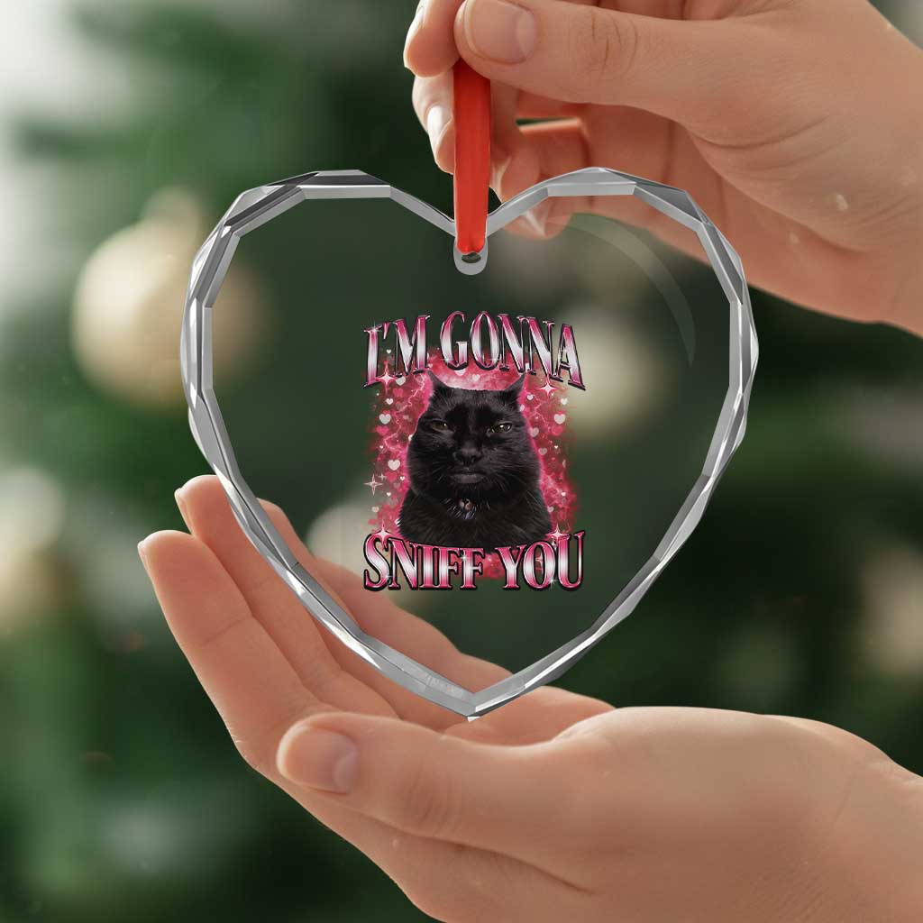 I'm Gonna Sniff You Heart Crystal Glass Ornament Funny Black Cat Meme TS14 Print Your Wear