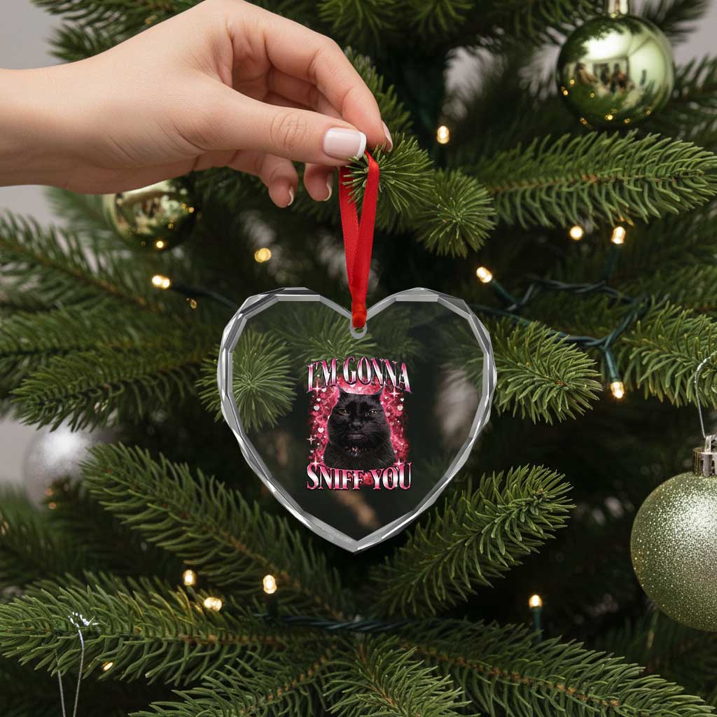 I'm Gonna Sniff You Heart Crystal Glass Ornament Funny Black Cat Meme TS14 Print Your Wear