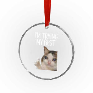Im Trying My Best Funny Crying Cat Meme Crystal Glass Ornament TS10 Print Your Wear