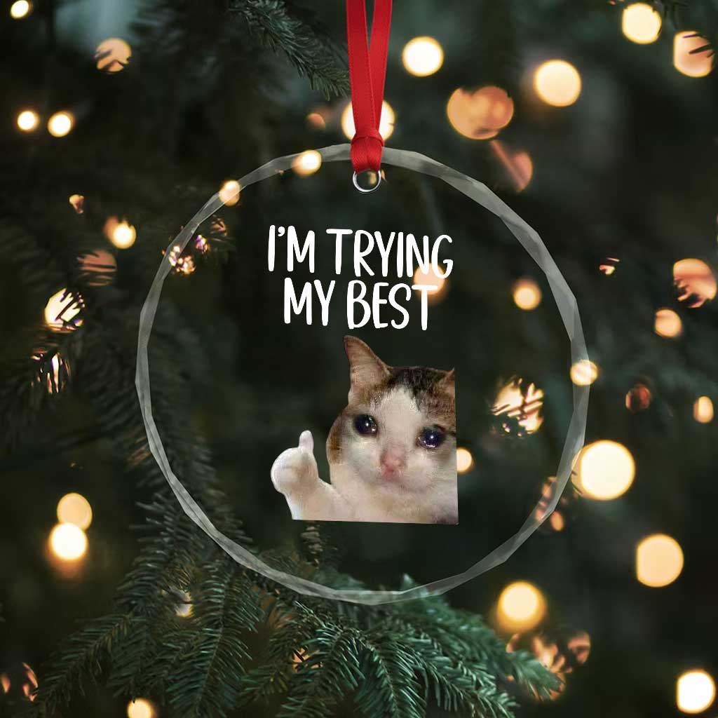 Im Trying My Best Funny Crying Cat Meme Crystal Glass Ornament TS10 Print Your Wear