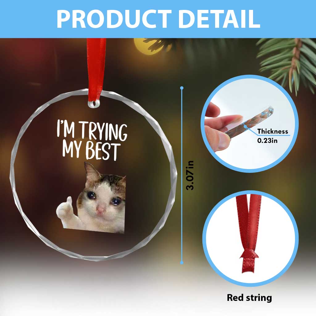 Im Trying My Best Funny Crying Cat Meme Crystal Glass Ornament TS10 Print Your Wear