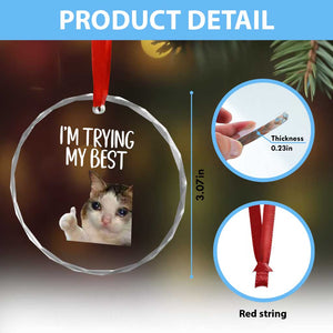 Im Trying My Best Funny Crying Cat Meme Crystal Glass Ornament TS10 Print Your Wear