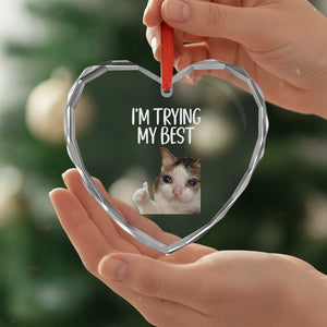 Im Trying My Best Funny Crying Cat Meme Heart Crystal Glass Ornament TS10 Print Your Wear