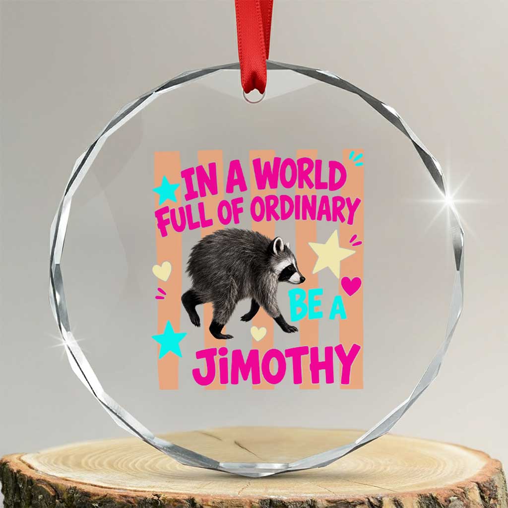 In A World Full Of Ordinary Be A Jimothy Preppy Style Crystal Glass Ornament Cute Y2K Pop Seattle Raccoon Legend Graphic TS02 Transparent Glass 3'' Circle Print Your Wear