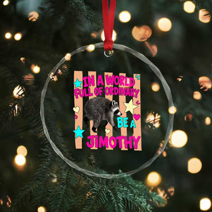In A World Full Of Ordinary Be A Jimothy Preppy Style Crystal Glass Ornament Cute Y2K Pop Seattle Raccoon Legend Graphic