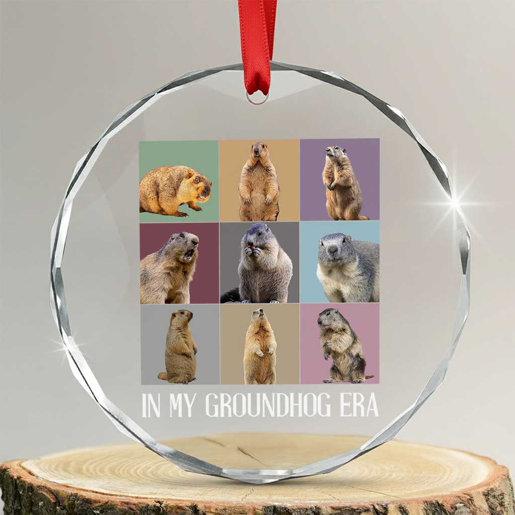 In My Groundhog Era Crystal Glass Ornament Funny Woodchuck TS02 Transparent Glass 3'' Circle Print Your Wear