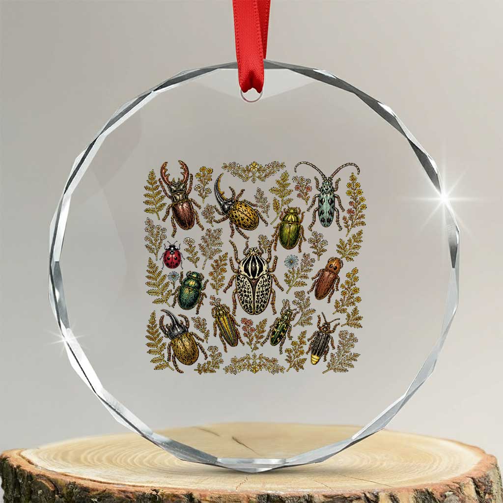 Insect Bug Collection Collector Entomologist Entomology Crystal Glass Ornament TS10 Transparent Glass 3'' Circle Print Your Wear