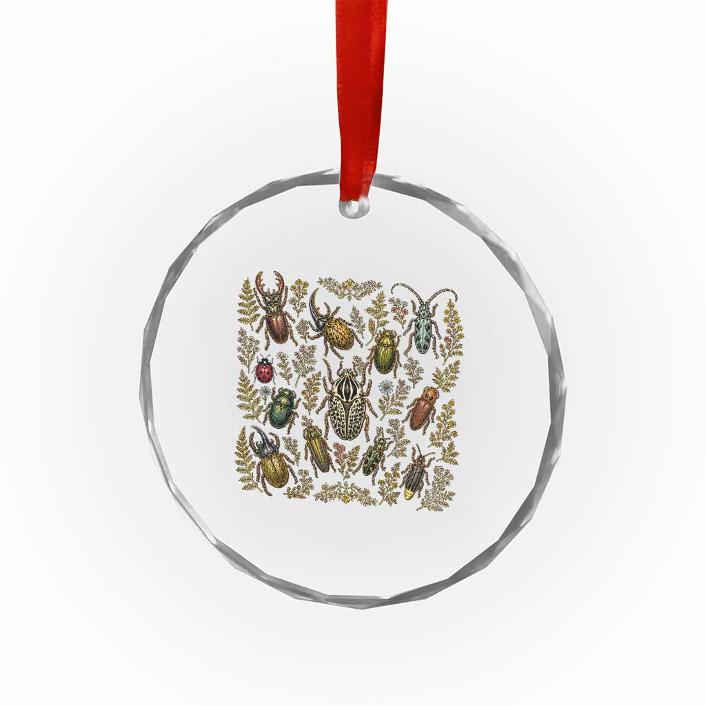 Insect Bug Collection Collector Entomologist Entomology Crystal Glass Ornament