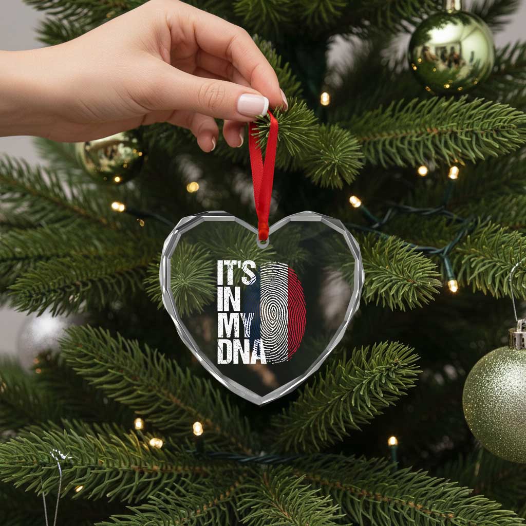 It's in My DNA France French Flag Heart Crystal Glass Ornament TS14 Print Your Wear