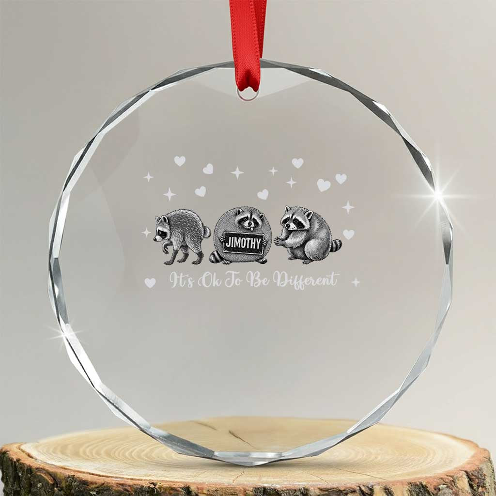Its Ok To Be Different Jimothy Raccoon Crystal Glass Ornament Cute Trash Panda Viral Animal Lover Gift TS12 Transparent Glass 3'' Circle Print Your Wear