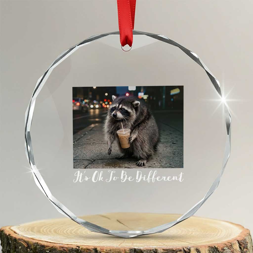 Its Ok To Be Different Jimothy Raccoon Crystal Glass Ornament Funny Short Spine Wildlife TS12 Transparent Glass 3'' Circle Print Your Wear