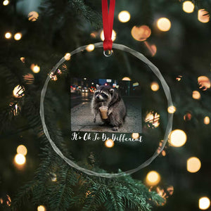 Its Ok To Be Different Jimothy Raccoon Crystal Glass Ornament Funny Short Spine Wildlife