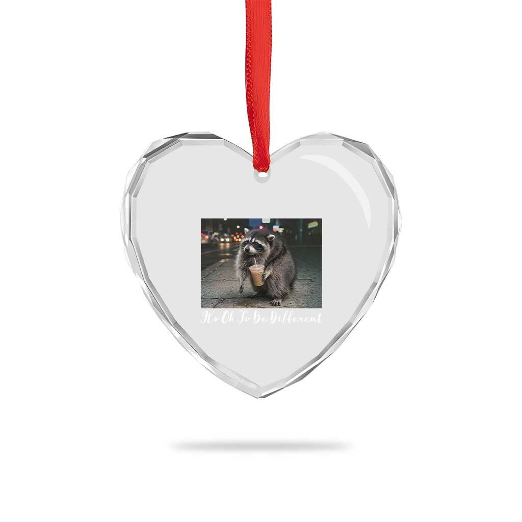 Its Ok To Be Different Jimothy Raccoon Heart Crystal Glass Ornament Funny Short Spine Wildlife