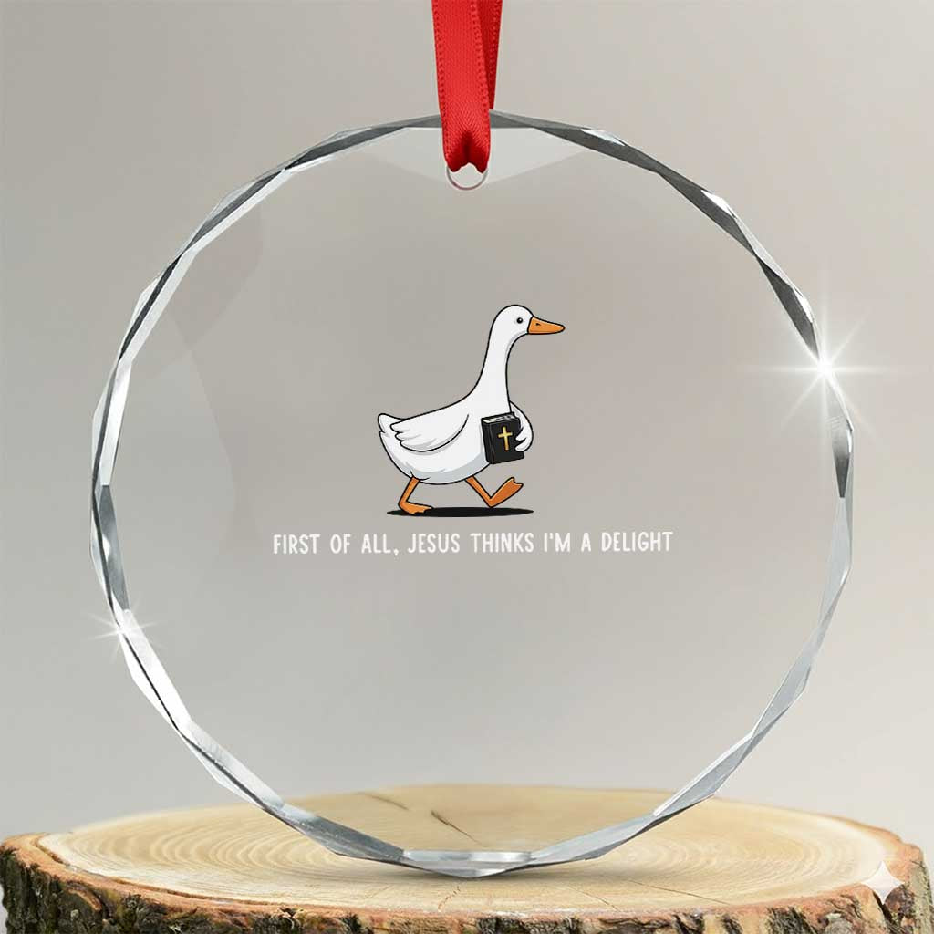 Jesus Thinks I'm A Delight Crystal Glass Ornament Funny Christian Goose Sarcastic TS14 Transparent Glass 3'' Circle Print Your Wear