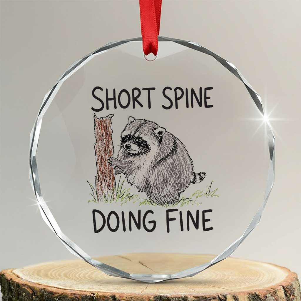 Jimothy Short Spine Doing Fine Inspirational Crystal Glass Ornament Viral Seattle Raccoon Crayon Drawing Graphic TS02 Transparent Glass 3'' Circle Print Your Wear