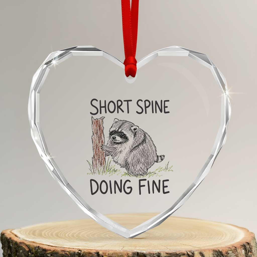 Jimothy Short Spine Doing Fine Inspirational Heart Crystal Glass Ornament Viral Seattle Raccoon Crayon Drawing Graphic TS02 Transparent Glass 3'' Heart Print Your Wear