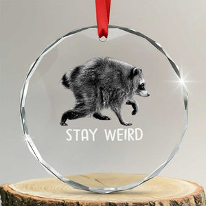 Jimothy the Raccoon Funny Stay Weird Crystal Glass Ornament Seattle Short Spine Trash Panda