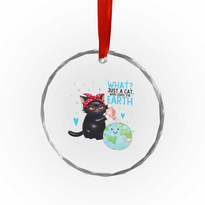 Just A Cat Who Loves The Earth Crystal Glass Ornament Earth Day Cat Lover Gift TS12 Print Your Wear
