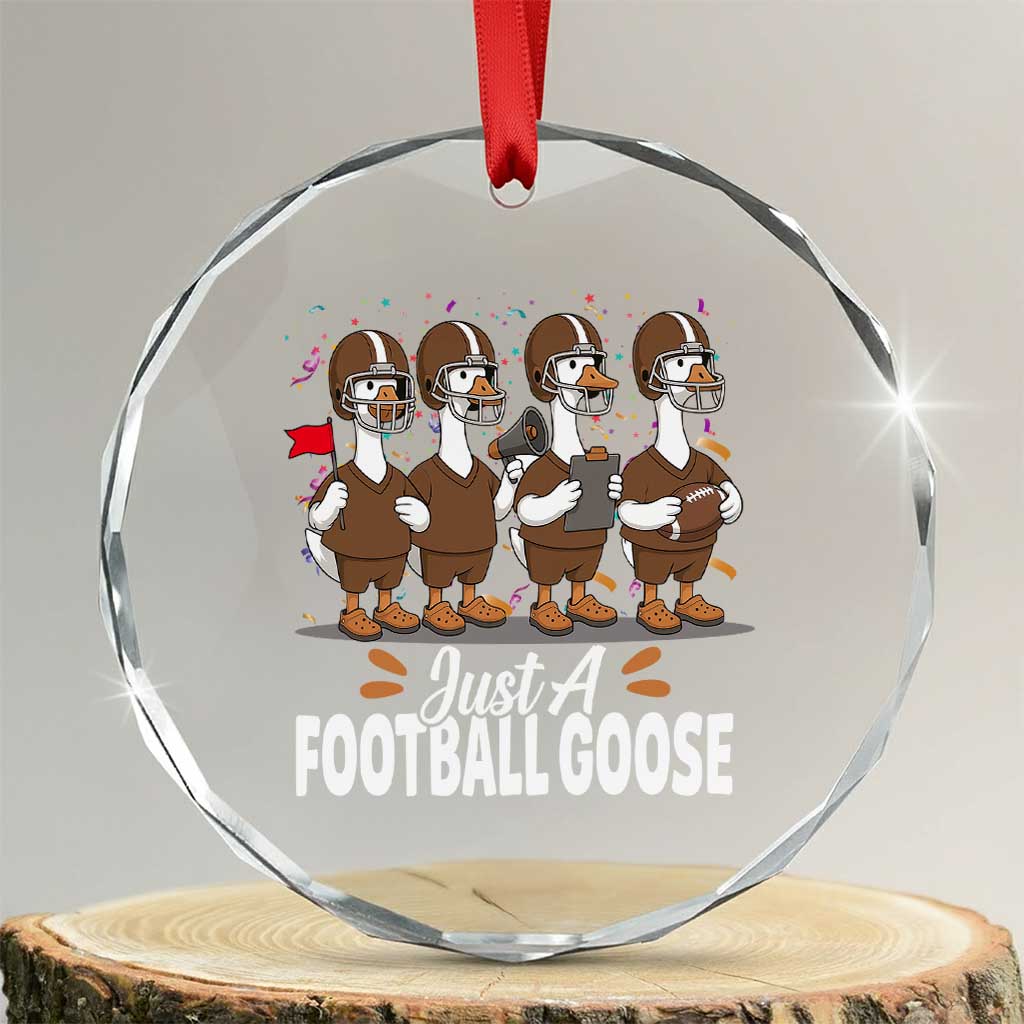 Just A Football Goose Crystal Glass Ornament Animal Sports Fan Gift TS12 Transparent Glass 3'' Circle Print Your Wear
