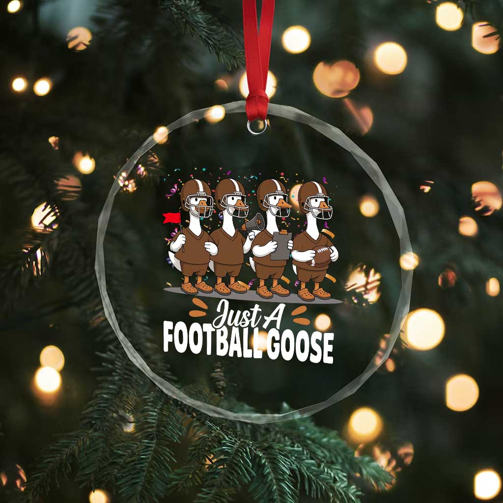 Just A Football Goose Crystal Glass Ornament Animal Sports Fan Gift TS12 Print Your Wear