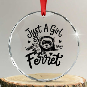 Just a Girl Who Loves Ferrets Crystal Glass Ornament Exotic Pet Owner Gift TS12 Transparent Glass 3'' Circle Print Your Wear